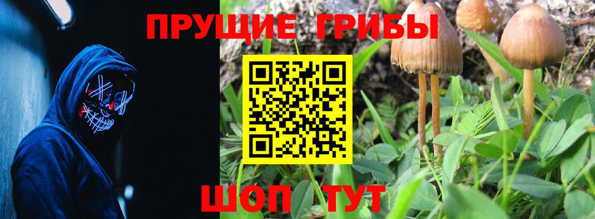 Псилоцибиновые грибы мухоморы Усть-Илимск