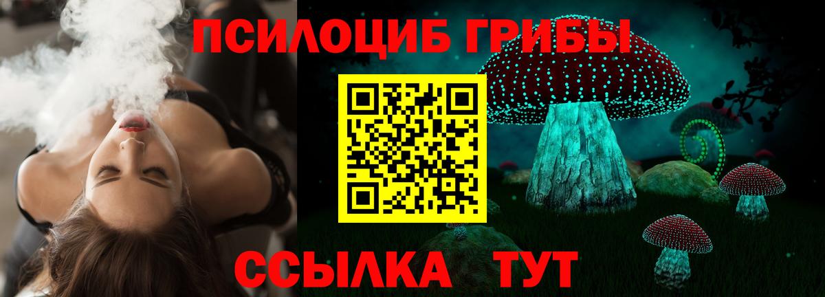 цена   Галлюциногенные грибы Cubensis  Вход с VPN  Усть-Илимск 