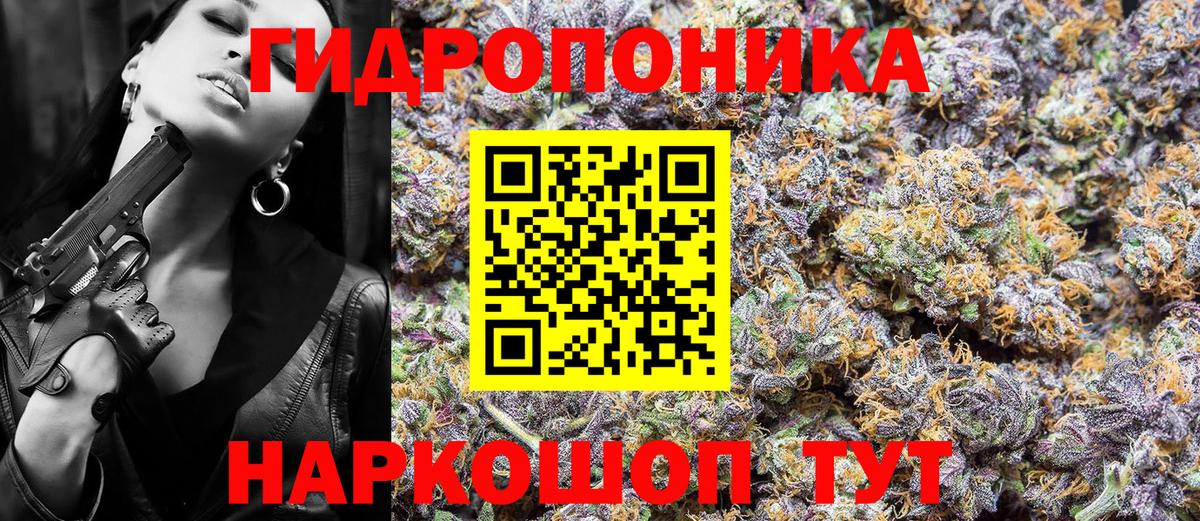 Бошки Шишки Ganja  Вход с VPN  Усть-Илимск  Канабис OG Kush 